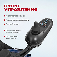 Pulse 110